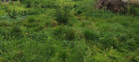 2179m² Land in Preseau, France No. 218150 4