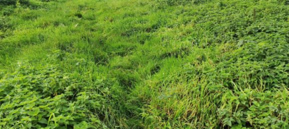 2179m² Land in Preseau, France No. 218150 3