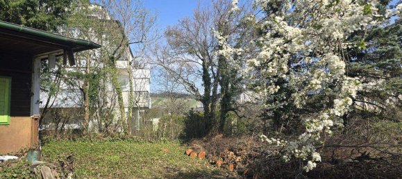 Grundstück in Döbling, Austria, Nr. 18817 6