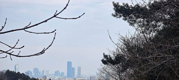 Grundstück in Döbling, Austria, Nr. 18817 11