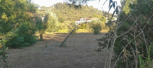 3 bedrooms Commercial property in Zakynthos, Greece No. 638 4