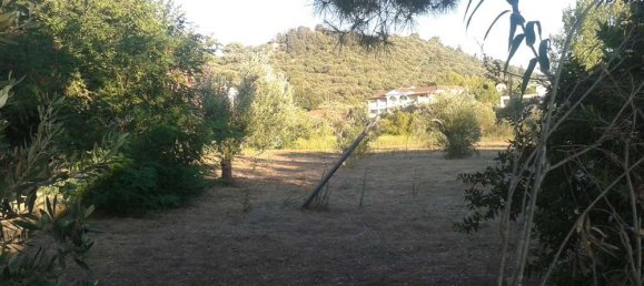 3 chambres house à vendre à Zakynthos, Ionian Islands, Peloponnese, Western Greece and the Ionian, Greece № 638 18