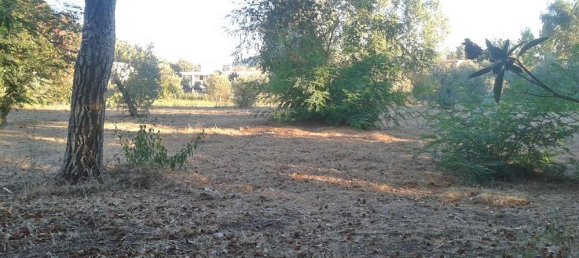 3 bedrooms Commercial property in Zakynthos, Greece No. 638 7