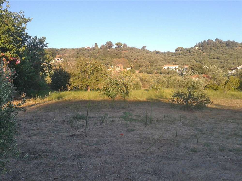 3 bedrooms Commercial property in Zakynthos, Greece No. 638