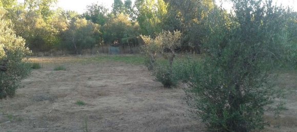 3 bedrooms Commercial property in Zakynthos, Greece No. 638 6