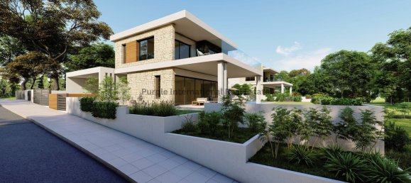 4 Schlafzimmer Villa in Pegeia, Cyprus, Nr. 1142 3