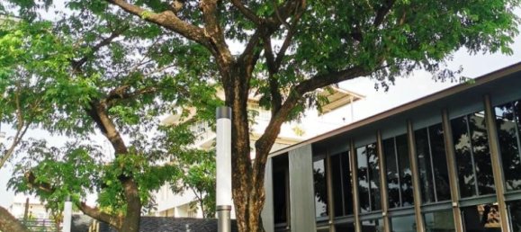 Café/restaurante de 4 dormitorios en Bangkok, Thailand No. 7170 15