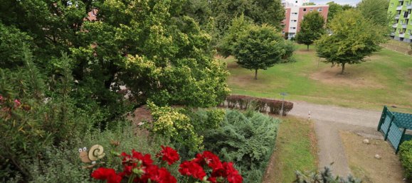 Apartamento de 1 dormitorio en Braunschweig, Germany No. 318690 12