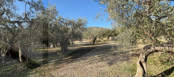 3 rooms Villa in San Giovanni Rotondo, Italy No. 28024 15