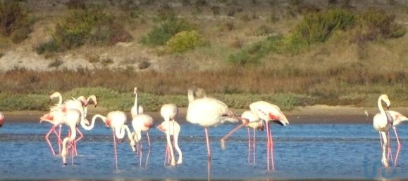 3 bedrooms Villa in Caldas da Rainha, Portugal No. 224297 30