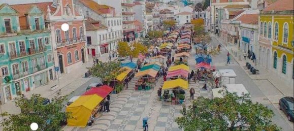 3 bedrooms Villa in Caldas da Rainha, Portugal No. 224297 26