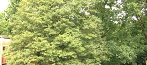 1 bedroom Apartment in Hamburg-Nord, Germany No. 295873 4