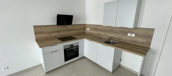 1 bedroom Apartment in Fontaine-les-Dijon, France No. 355867 3