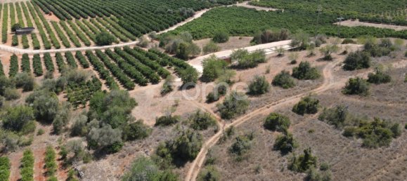 Land in Sao Bartolomeu de Messines, Portugal No. 51319 15