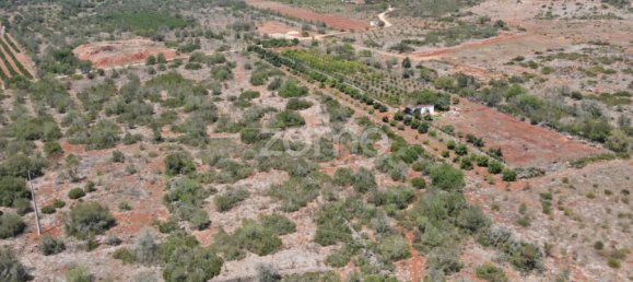 Land in Sao Bartolomeu de Messines, Portugal No. 51319 10