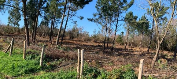 Grundstück in Asturias, Spain 3743m², Nr. 162504 5