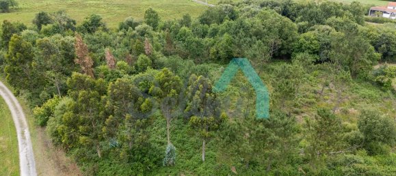 Grundstück in Asturias, Spain 3743m², Nr. 162504 2