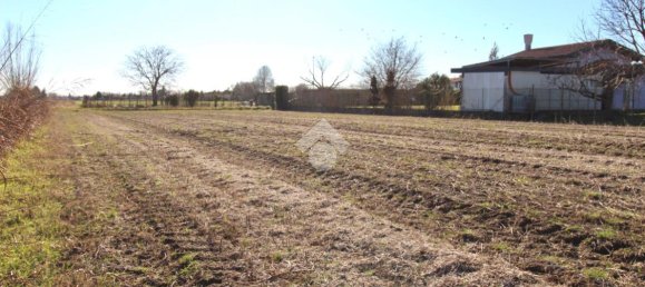 Grundstück in Udine, Italy 2780m², Nr. 91511 5