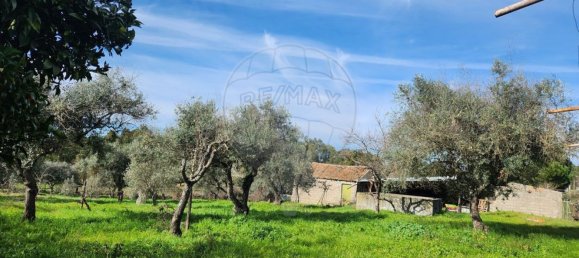 5 غرف نوم منزل في Penamacor, Portugal رقم 169207 21