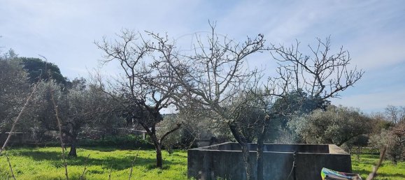 5 غرف نوم منزل في Penamacor, Portugal رقم 169207 29