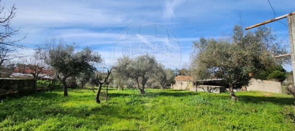 5 غرف نوم منزل في Penamacor, Portugal رقم 169207 23