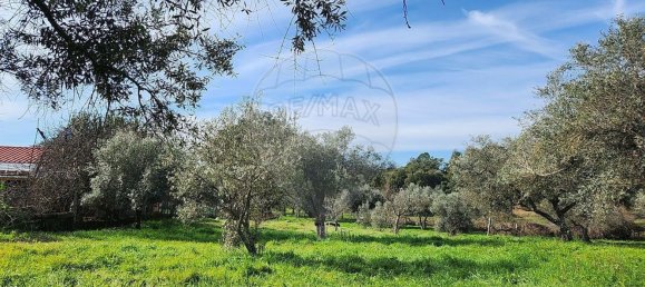 5 غرف نوم منزل في Penamacor, Portugal رقم 169207 24