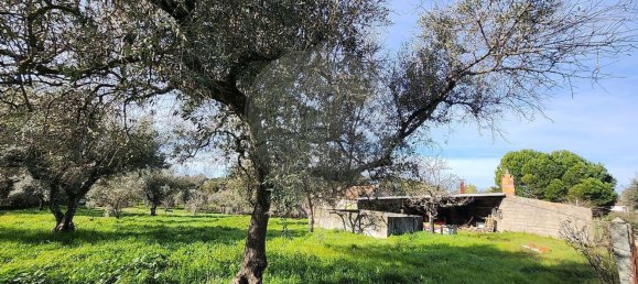 5 غرف نوم منزل في Penamacor, Portugal رقم 169207 4