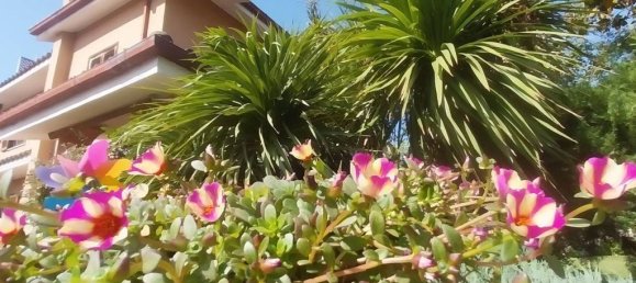 Вилла с 4 спальнями в Рим, Италия № 11202 23