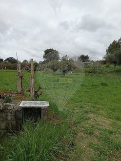  Land in Castelo Branco, Portugal No. 84239