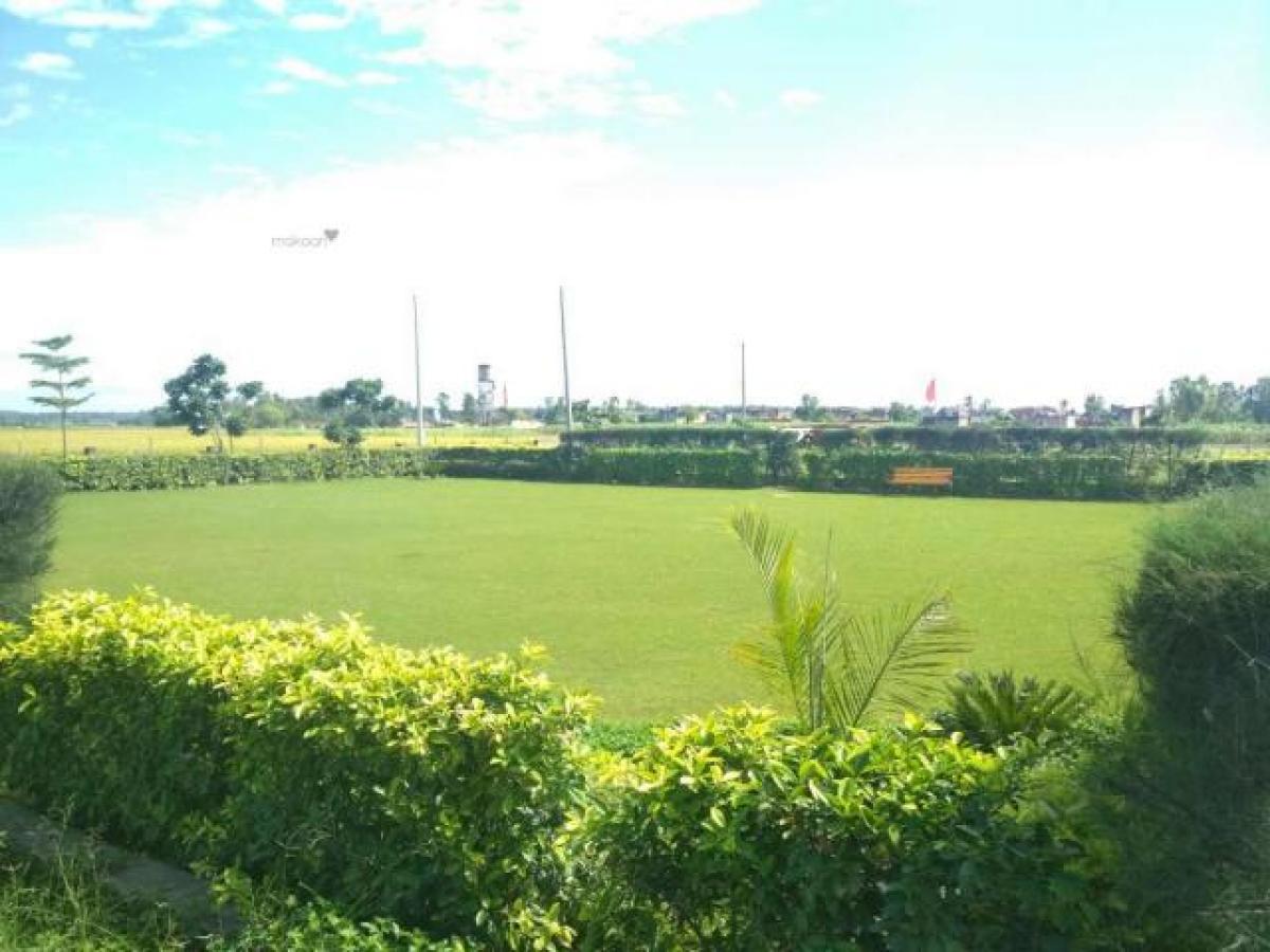  Land in Chandigarh, India No. 36313