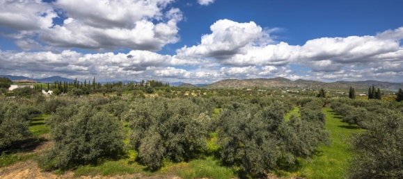 9 غرف نوم منزل في Alhaurin el Grande, Spain رقم 173005 20