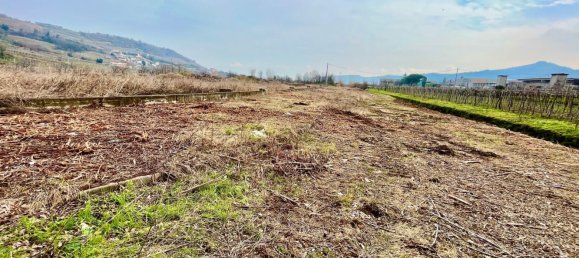 Grundstück in Montecchia di Crosara, Italy 10000m², Nr. 205786 3