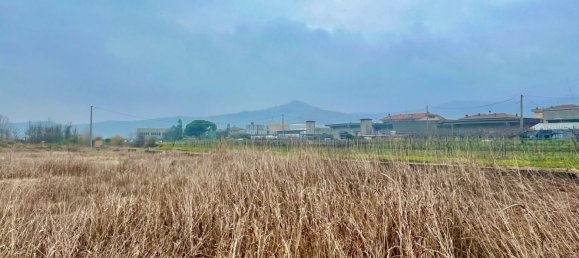 Grundstück in Montecchia di Crosara, Italy 10000m², Nr. 205786 2