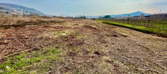 Grundstück in Montecchia di Crosara, Italy 10000m², Nr. 205786 7