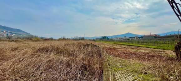 Grundstück in Montecchia di Crosara, Italy 10000m², Nr. 205786 6