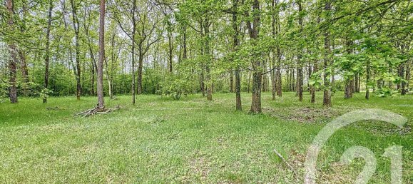 Castelos T4 em Mennetou-sur-Cher, France N.º 65906 4