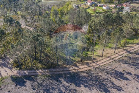  قطعة أرض في Ponte de Lima, Portugal 3748متر مربع رقم 40221