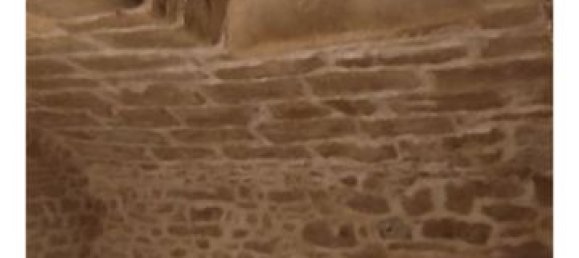 2 rooms House in Pezenas, France No. 335514 2