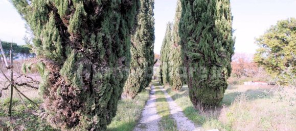 Дом с 9 спальнями в Альтопашо, Италия № 236100 16