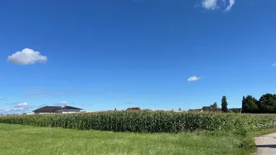 Grundstück in Gunskirchen, Austria, Nr. 194429