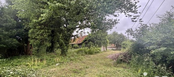 5 bedrooms House in Houvin-Houvigneul, France No. 250436 4