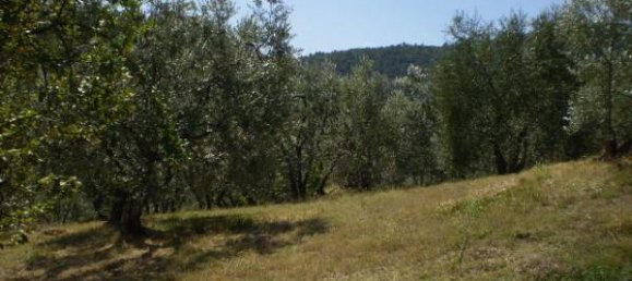 قطعة أرض في Carmignano, Italy 5000متر مربع رقم 76097 3