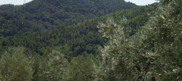 قطعة أرض في Carmignano, Italy 5000متر مربع رقم 76097 9