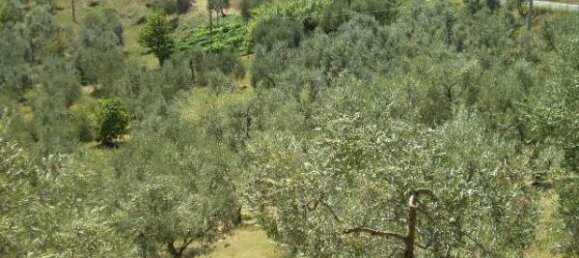 قطعة أرض في Carmignano, Italy 5000متر مربع رقم 76097 5