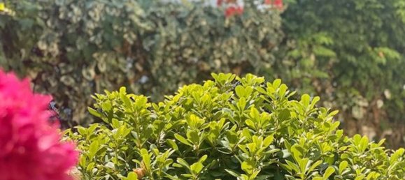 4 chambres Maison à Gandia, Spain No. 171755 37