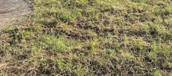 Grundstück in Cadiz, Spain, Nr. 145319 18