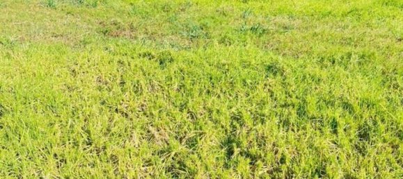 Grundstück in Cadiz, Spain, Nr. 145319 6