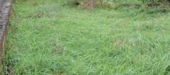 3-Zimmer Haus in Pordenone, Italy, Nr. 12711 21