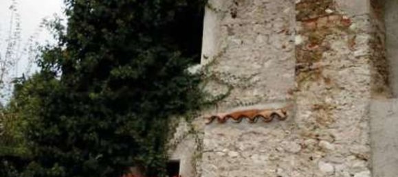 3-Zimmer Haus in Pordenone, Italy, Nr. 12711 2