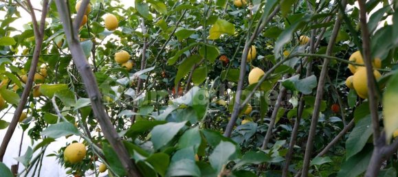 Вилла с 5 спальнями в Терни, Италия № 102038 45